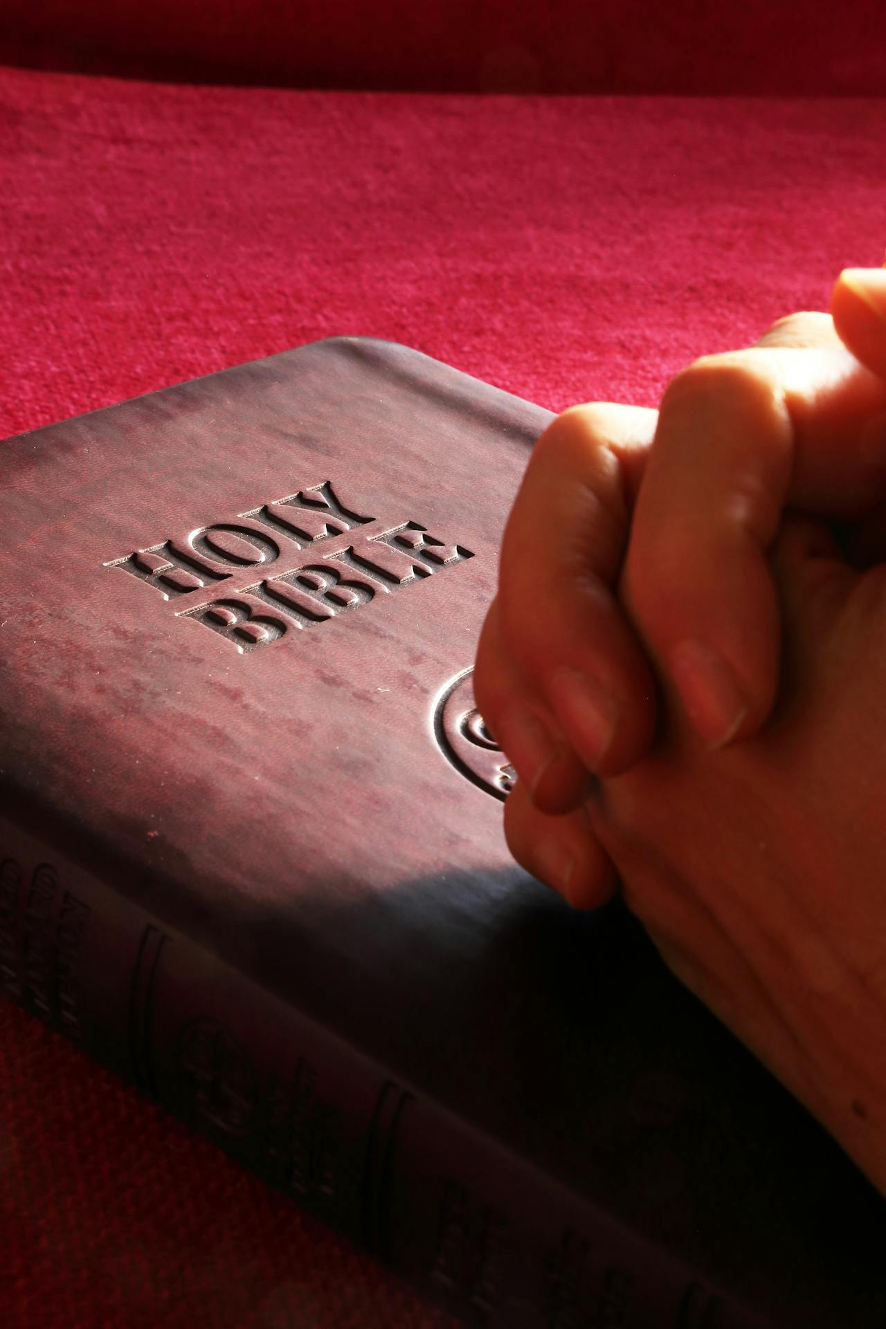 Biblia